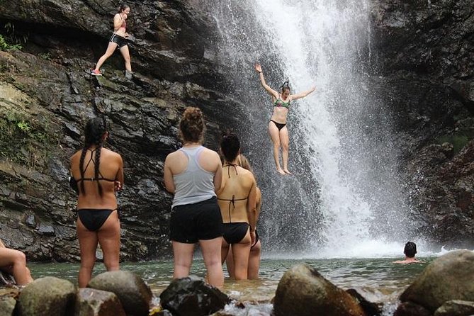 Waterfall and Fijian Village Tour with Light Lunch ex Nadi Area Hotels - Key points at a glance