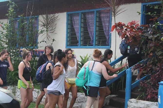 Waterfall and Fijian Village Tour with Light Lunch ex Nadi Area Hotels - The scenic highway ride from Nadi