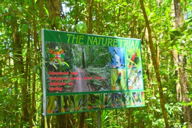 Waterfalls and Nature Tour - Why Colo-I-Suva works as a short escape from Suva