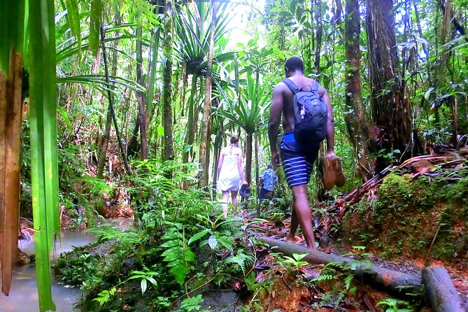 Waterfalls and Nature Tour - Waisila Falls and the photo stops