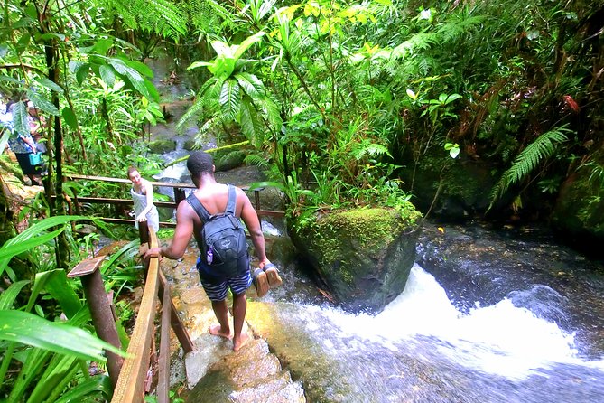 Waterfalls and Nature Tour - How the private format affects the experience