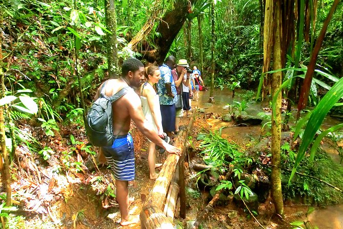 Waterfalls and Nature Tour - Is $91.72 per person good value?