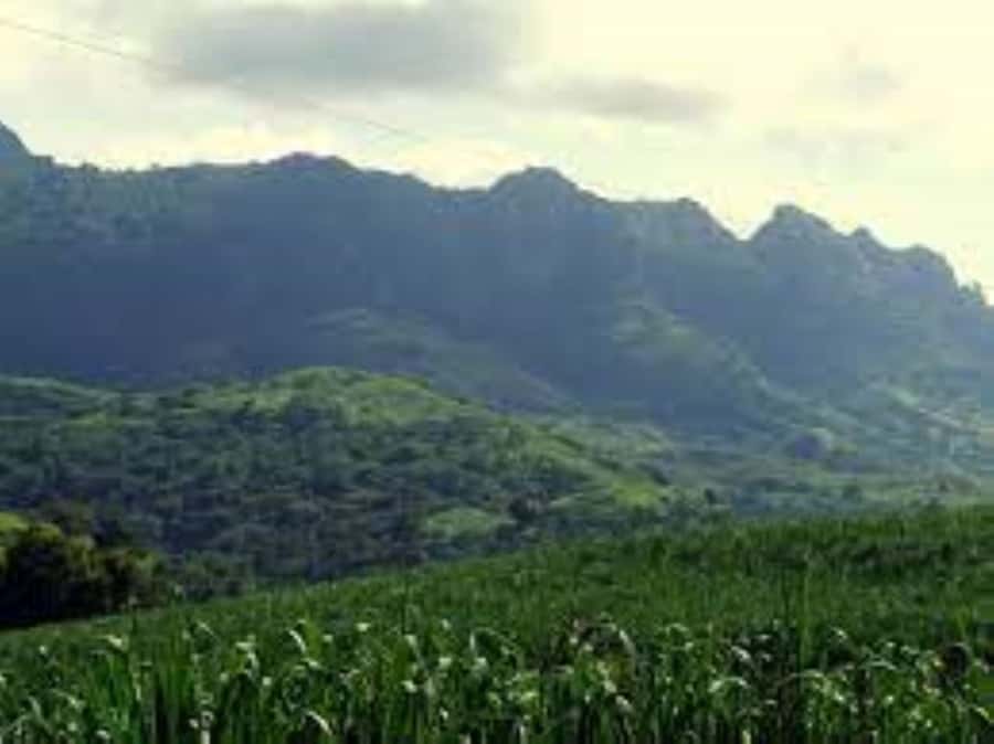 Zipline, Cave, Seaview & Mud Spa Tour with Lunch Included - Weather, clothing, and health limits
